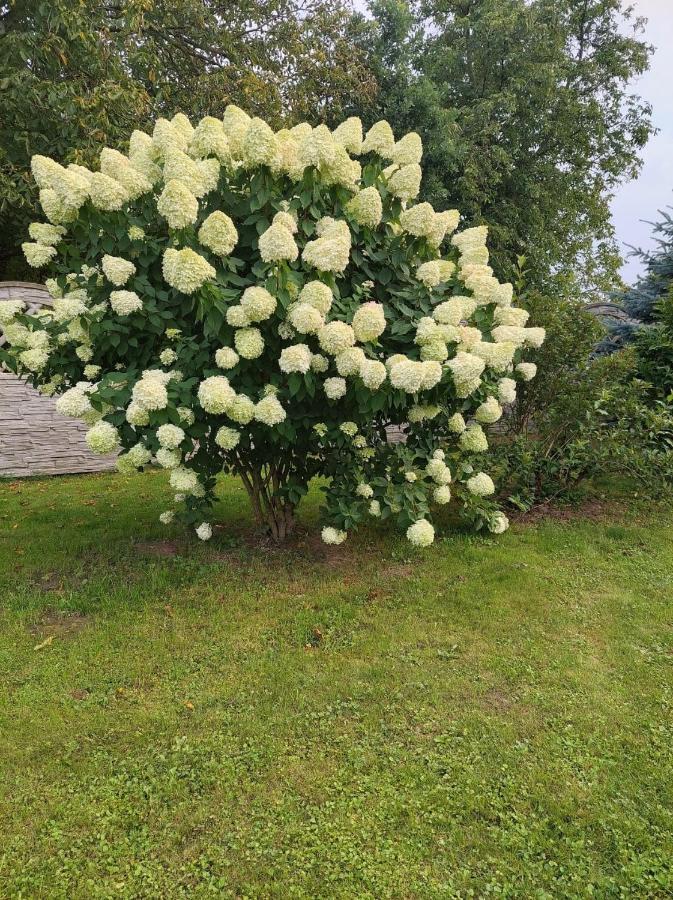 Magnolia Gospodarstwo Agroturystyczne Kazimierz Dolny Kültér fotó